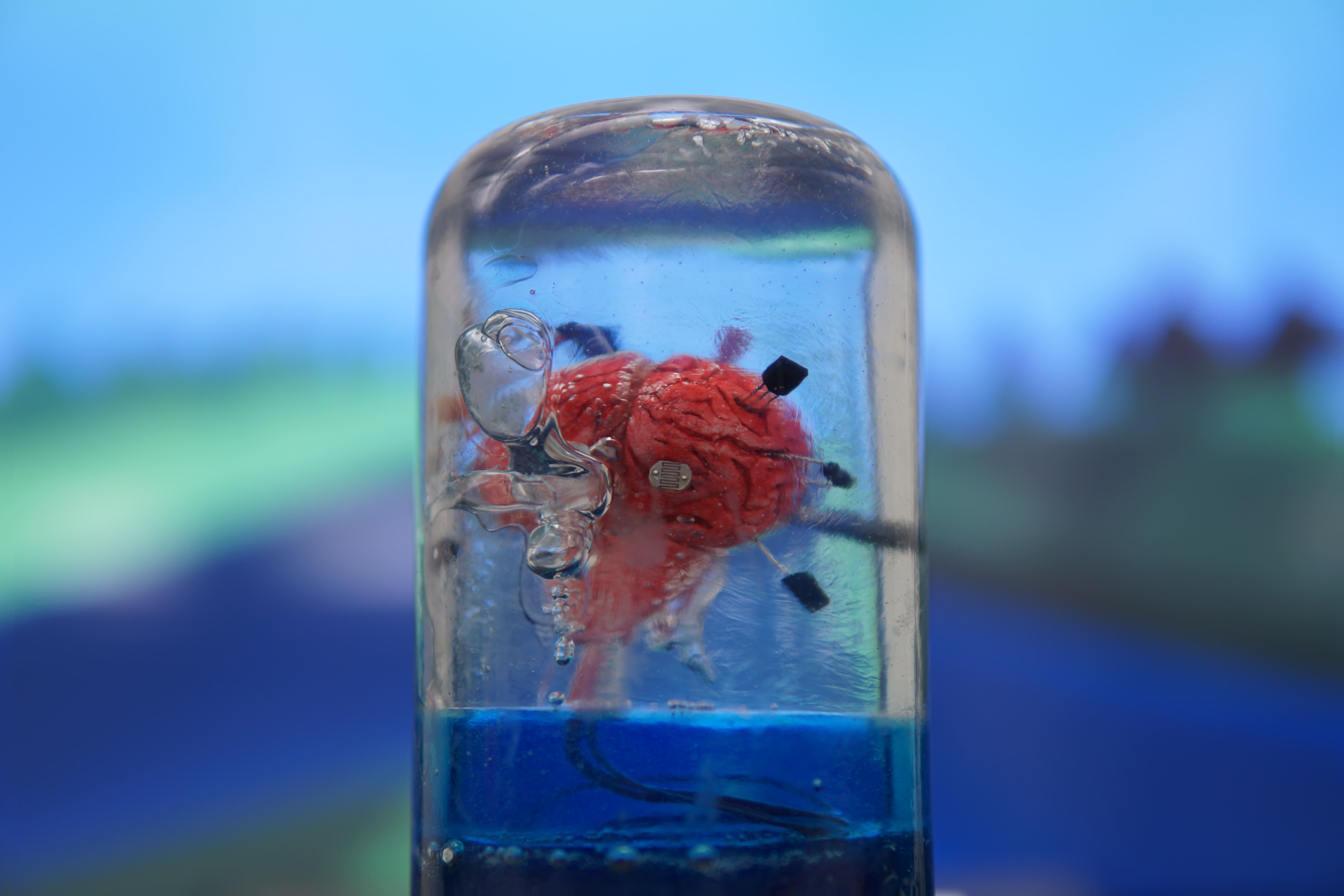 Observer, Physical object, miniature of a brain in the jar