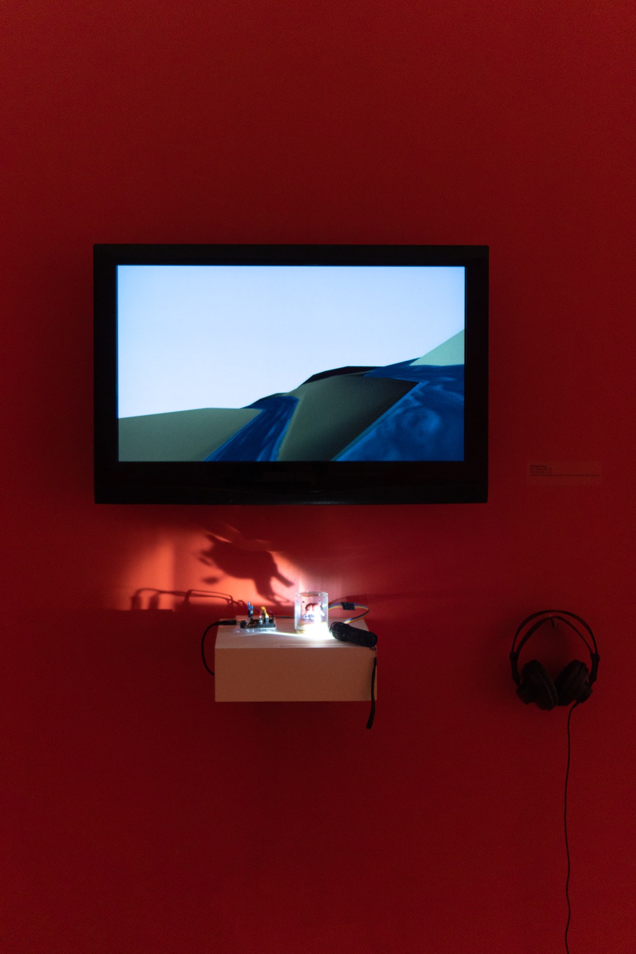 Observer, Installation view